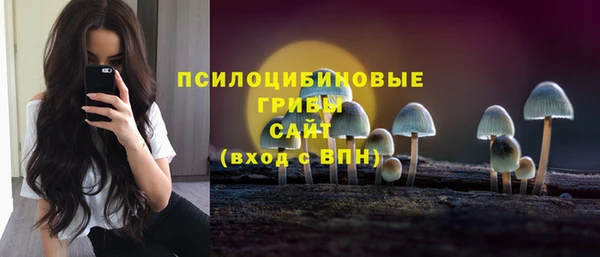 стаф Алексин