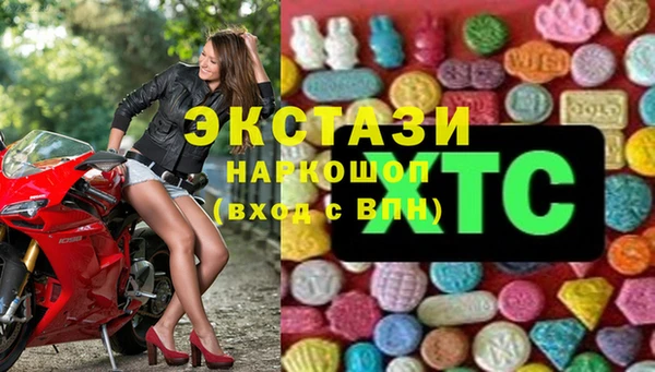 стаф Алексин