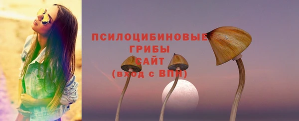 стаф Алексин