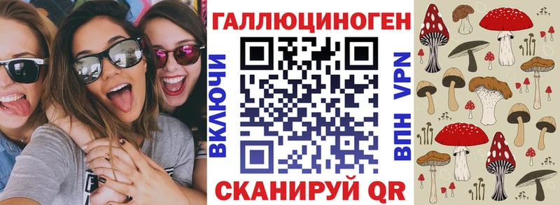 Псилоцибиновые грибы Psilocybe  как найти закладки  Щигры 